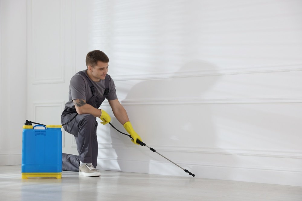 Termite Control Termite Control in Fairlight