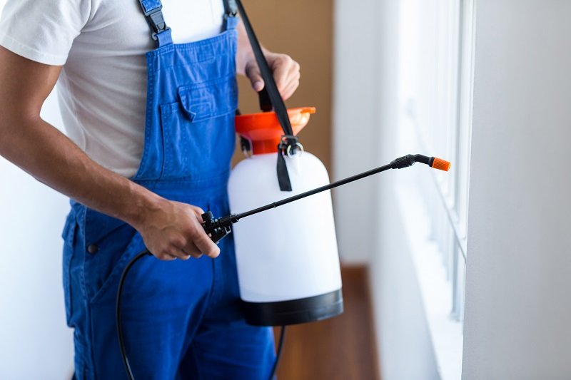 Termite Control