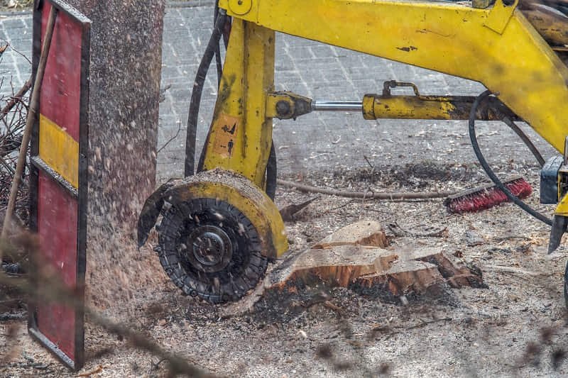Stump removal Mornington Peninsula