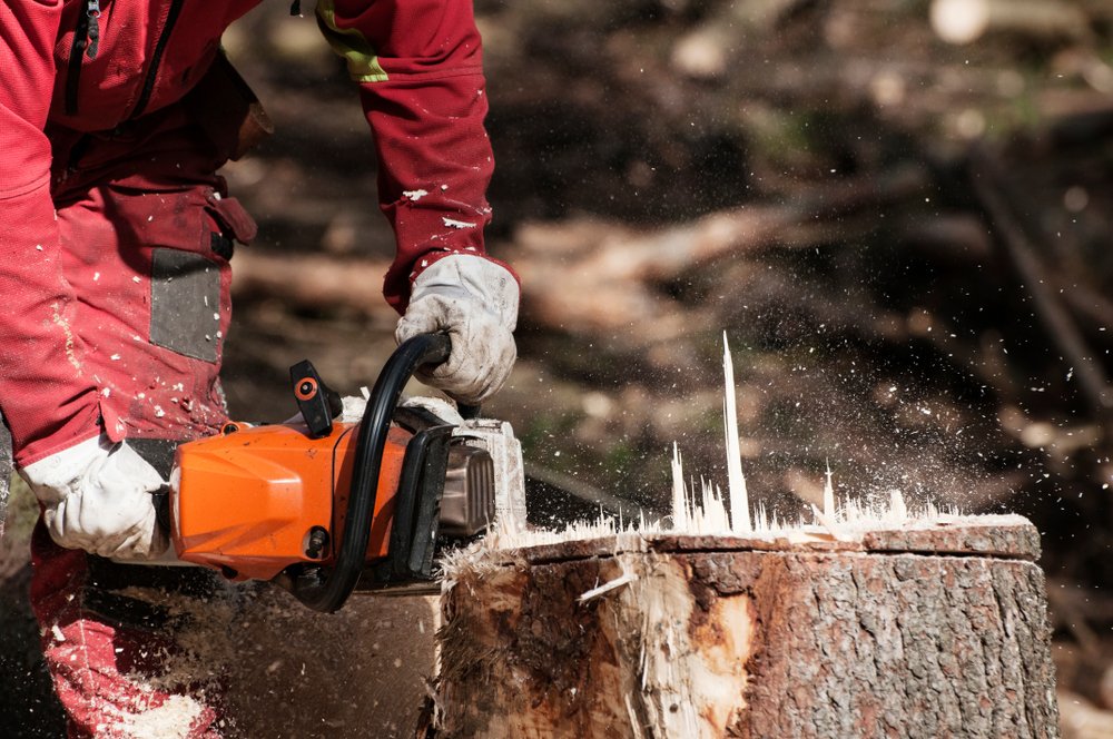 Stump Removal