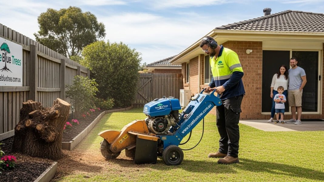 Why Stump Removal Is Essential for Safety and Landscaping