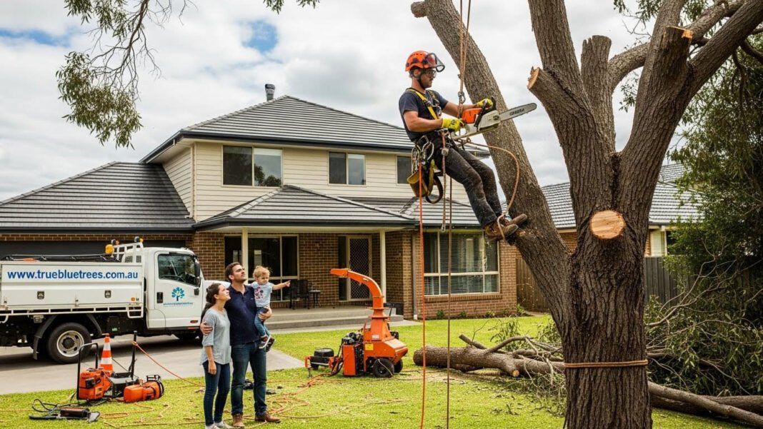 Tree Removal